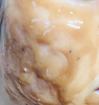 노순영님이 올린 리뷰 사진 3