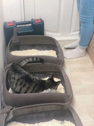 Nany님이 올린 리뷰 사진 2