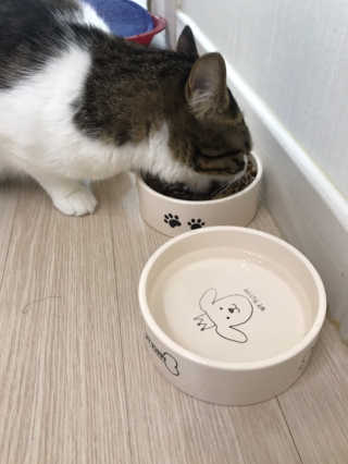 글라라5205님이 올린 리뷰 사진 4