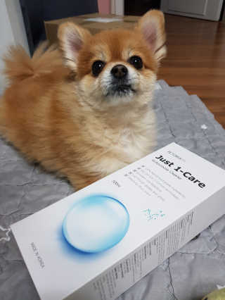 [펫토리아] 뚝딱케어 강아지 고양이 다목적세정제 — 5점을 준 리뷰어가 2020년 2월 올린 사용 사진