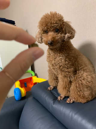 투밍님이 올린 리뷰 사진 4