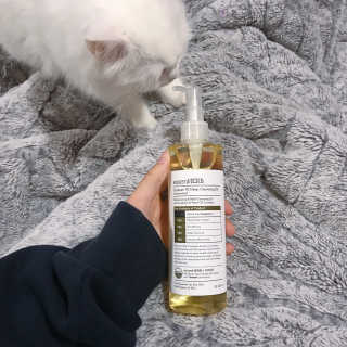 례진님이 올린 리뷰 사진 1