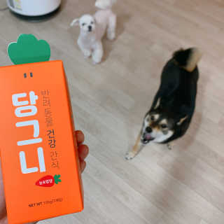 꾸딩님이 올린 리뷰 사진 1