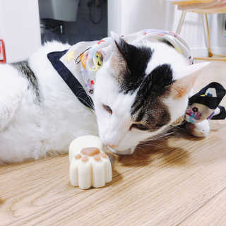 짤랑이님이 올린 리뷰 사진 2