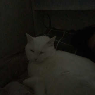 진진님이 올린 리뷰 사진 3