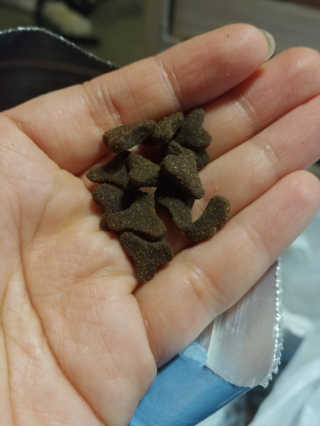 부부부부님이 올린 리뷰 사진 2