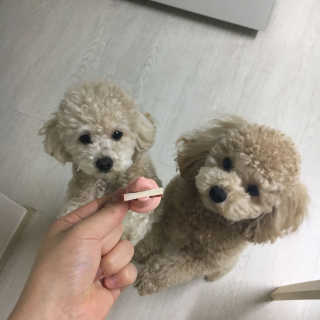 이한림님이 올린 리뷰 사진 1