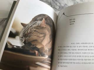 꼬물이님이 올린 리뷰 사진 3