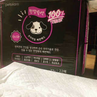 펫토리아 한장뚝딱 NEW 프리미엄 국내산 배변패드 — 4점을 준 리뷰어가 2019년 5월 올린 사용 사진