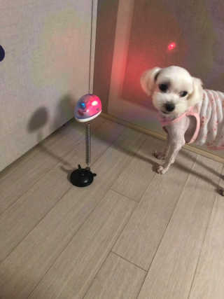 영쮸양님이 올린 리뷰 사진 2