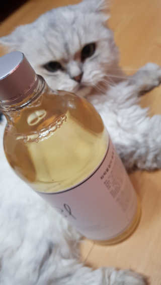 이영실님이 올린 리뷰 사진 3