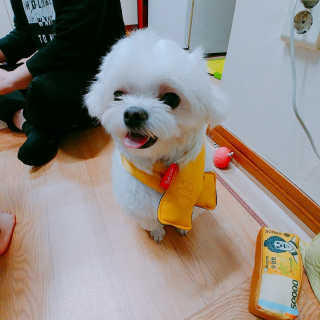 도담님이 올린 리뷰 사진 3