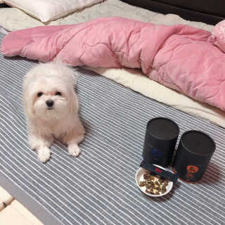 김부건님이 올린 리뷰 사진 2