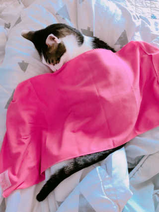 라가온유님이 올린 리뷰 사진 3