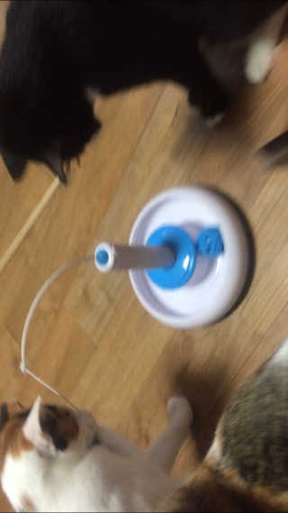 까꿍님이 올린 리뷰 사진 2