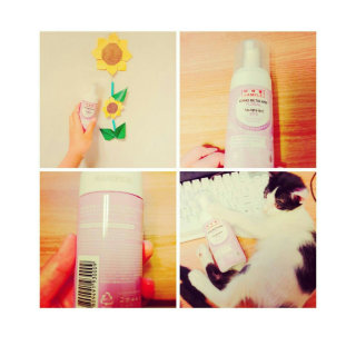 쑈쮸님님이 올린 리뷰 사진 1