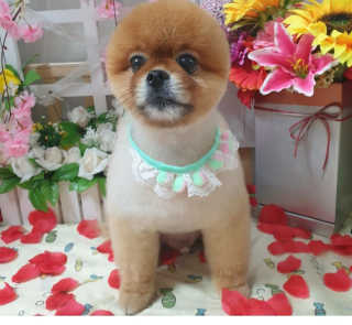 성유진님이 올린 리뷰 사진 3