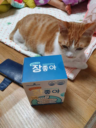 메이준뉴트리 모유유래 유산균 장좋아 2gx30포 — 5점을 준 리뷰어가 2020년 2월 올린 사용 사진