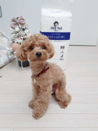 라블리님이 올린 리뷰 사진 1