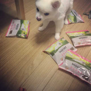 쥬쥬앙앙님이 올린 리뷰 사진 2