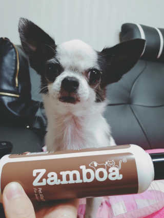 snoopy님이 올린 리뷰 사진 1