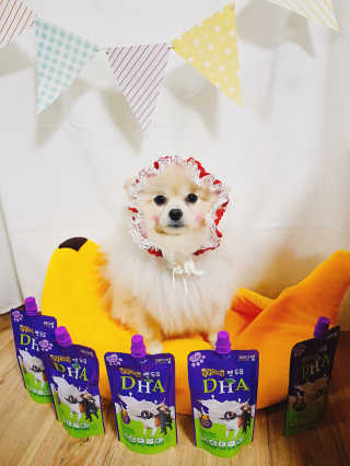 뚱이땅콩맘님이 올린 리뷰 사진 4