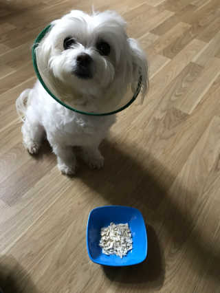 구르밍님이 올린 리뷰 사진 4