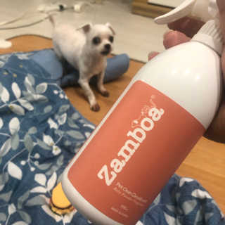 탱님이 올린 리뷰 사진 3