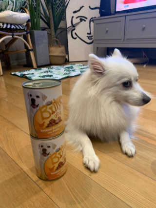 [펫토리아]배피 고양이,빌리강아지 대용량주식캔 — 5점을 준 리뷰어가 2019년 7월 올린 사용 사진