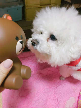 단발소녀님이 올린 리뷰 사진 2