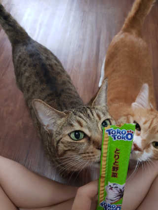 네롱이님이 올린 리뷰 사진 1