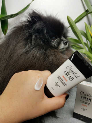 Peepingpomeranian님이 올린 리뷰 사진 2