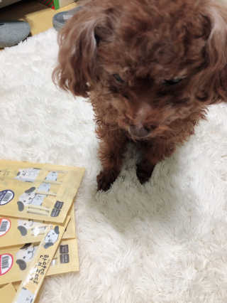 [펫토리아] 강아지,고양이겸용 짜먹는 한입뚝딱 — 5점을 준 리뷰어가 2019년 1월 올린 사용 사진