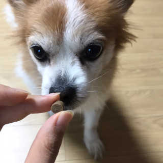 빵이님이 올린 리뷰 사진 2