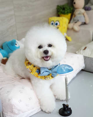 보리야꼬님이 올린 리뷰 사진 1
