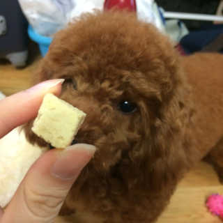 마리공듀님이 올린 리뷰 사진 2