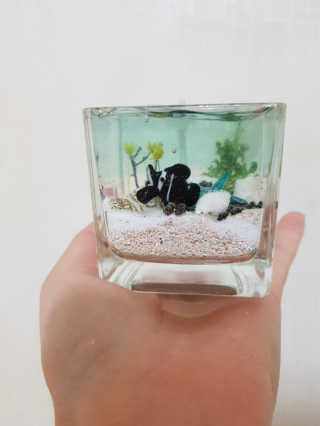 이용재님이 올린 리뷰 사진 1