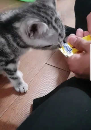 이승규님이 올린 리뷰 사진 1