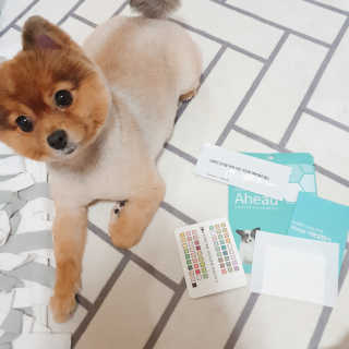 은선이짱님이 올린 리뷰 사진 3