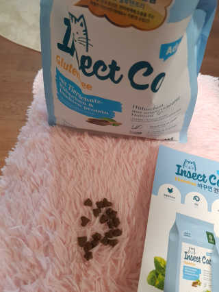 그린펫푸드 인섹트캣 글루텐프리（1.2KG） — 5점을 준 리뷰어가 2019년 8월 올린 사용 사진