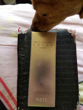 낫츠 NoTS ​​Once Finishing Cream SPF 30 PA ++ — 4.83점을 준 리뷰어가 2018년 5월 올린 사용 사진