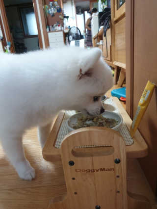 겸둥이연우맘님이 올린 리뷰 사진 4