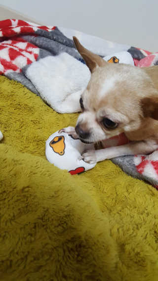 유진오님이 올린 리뷰 사진 4