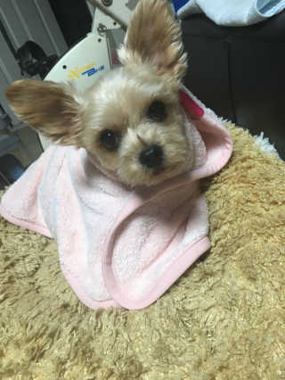 장지우님이 올린 리뷰 사진 1