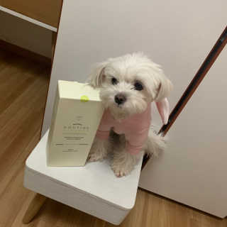 bominnnn님이 올린 리뷰 사진 1