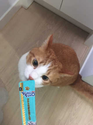 옥수수님이 올린 리뷰 사진 3