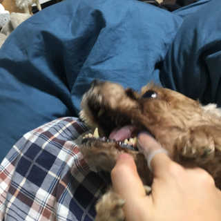 은지짱님이 올린 리뷰 사진 3