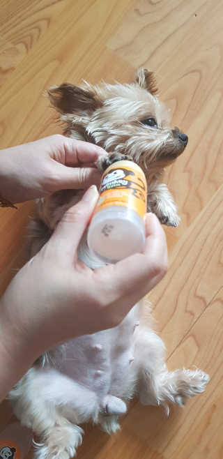 Jy님이 올린 리뷰 사진 2