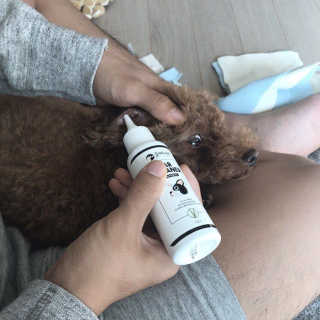 젤로님이 올린 리뷰 사진 2