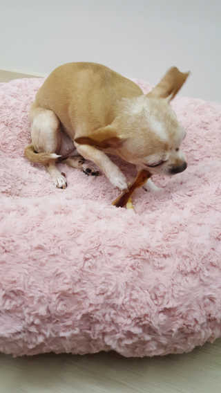 유진오님이 올린 리뷰 사진 4